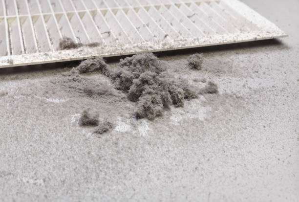 Best HVAC Duct Inspection Services  in Kotzebue, AK